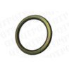 Brake Piston