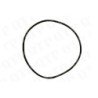 Oil Filter O-Ring