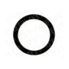 Rear PTO Clutch Thrust Washer