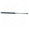 Gas Strut Bonnet