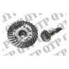 Crown Wheel & Pinion