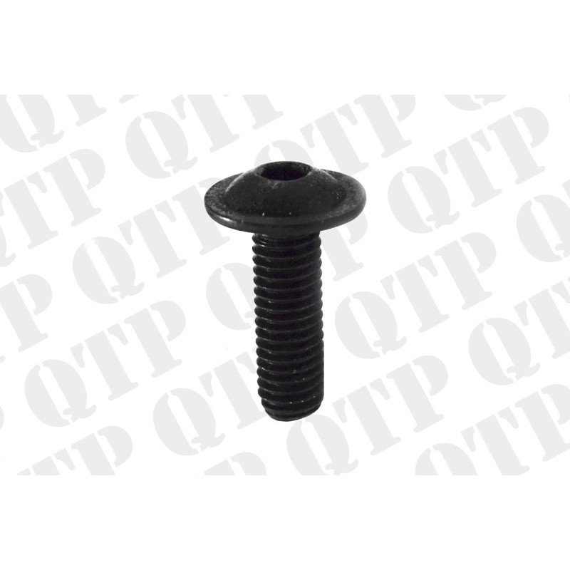 Vis du boîtier de lampe de toit (Pack de 10)