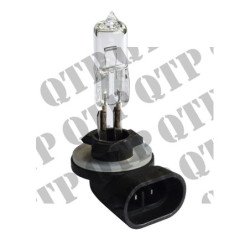 Ampoule (Pack de 10)