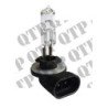 Ampoule (Pack de 10)