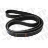 Fan Belt
