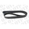 Fan Belt