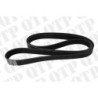 Fan Belt