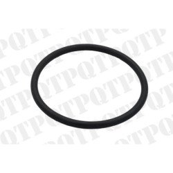 O-Ring Fuel Supply