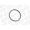 Transmission O-Ring
