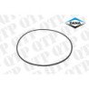 Front Brake Seal