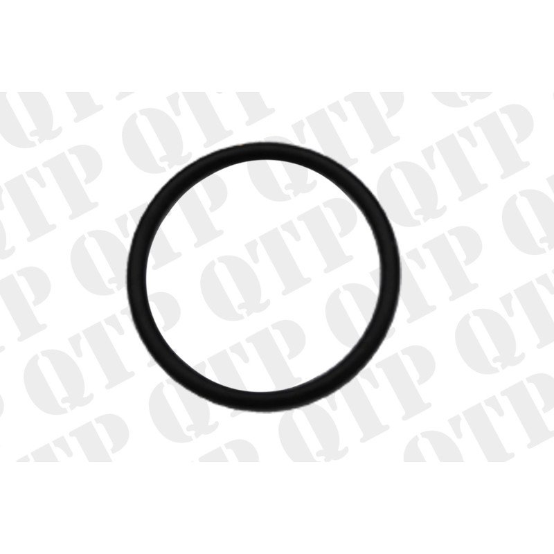 Transmission Valve O-Ring