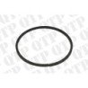 Piston Seal