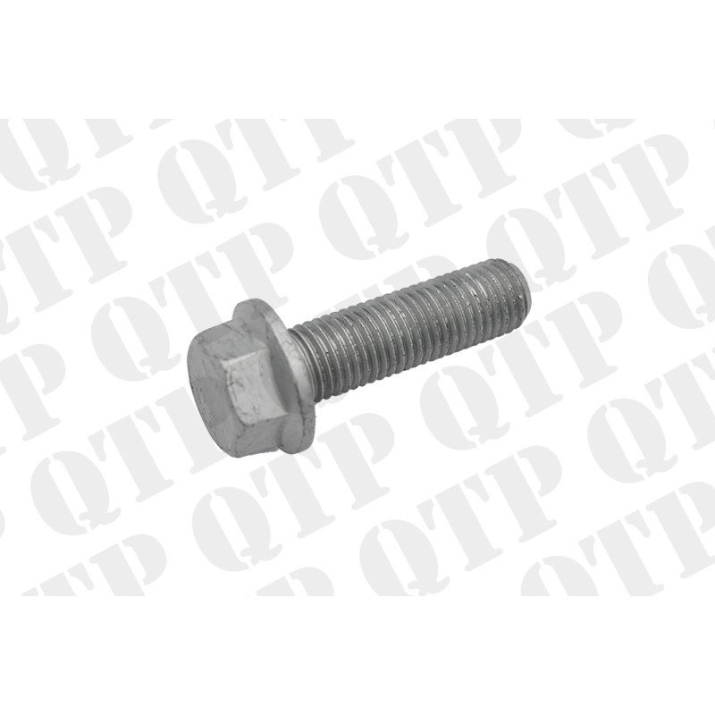 Hexagonal Head Screw (M12x41)
