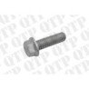 Hexagonal Head Screw (M12x41)